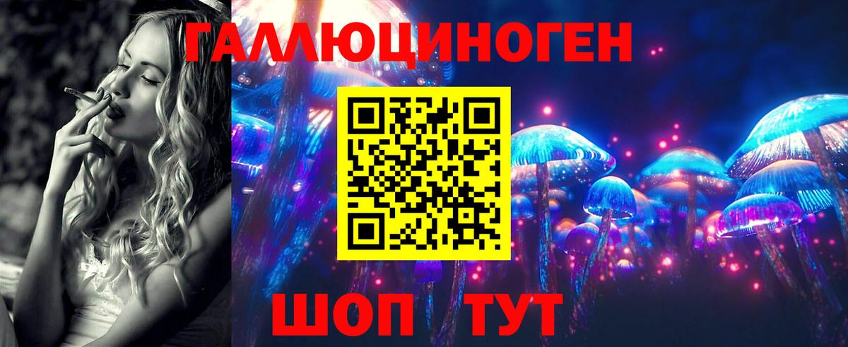 Бирск  Псилоцибиновые грибы MAGIC MUSHROOMS  Вход с VPN 